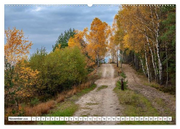Produktbild: L&uuml;neburger Heide: Die Nordheide (hochwertiger Premium Wandkalender 2026 DIN A2 quer), Kunstdruck in Hochglanz