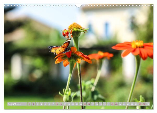 Produktbild: Erholung auf Korfu im St. Georg's Bay Country Club (Wandkalender 2026 DIN A3 quer), CALVENDO Monatskalender