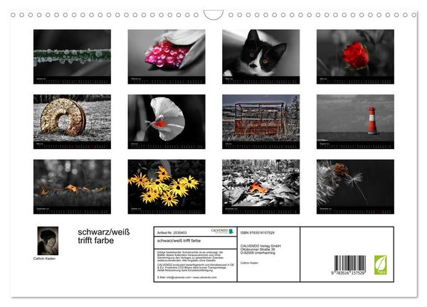 Produktbild: schwarz/wei&szlig; trifft farbe (Wandkalender 2026 DIN A3 quer), CALVENDO Monatskalender