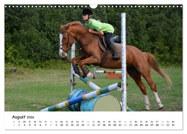 Produktbild: Pony Springreiten (Wandkalender 2026 DIN A3 quer), CALVENDO Monatskalender