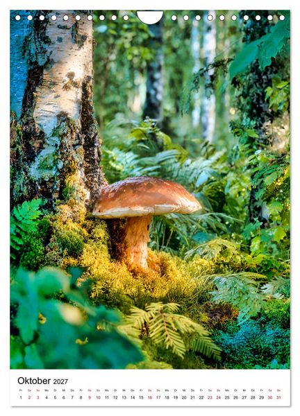 Produktbild: Pilzzeit - Leben auf dem Waldboden (Wandkalender 2027 DIN A4 hoch), CALVENDO Monatskalender