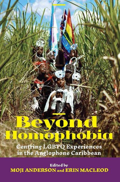 Produktbild: Beyond Homophobia