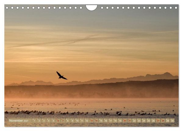 Produktbild: Zauberhafter Westlicher Bodensee (Wandkalender 2027 DIN A4 quer), CALVENDO Monatskalender