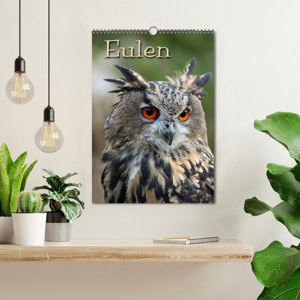 Produktbild: Eulen (Wandkalender 2027 DIN A3 hoch), CALVENDO Monatskalender