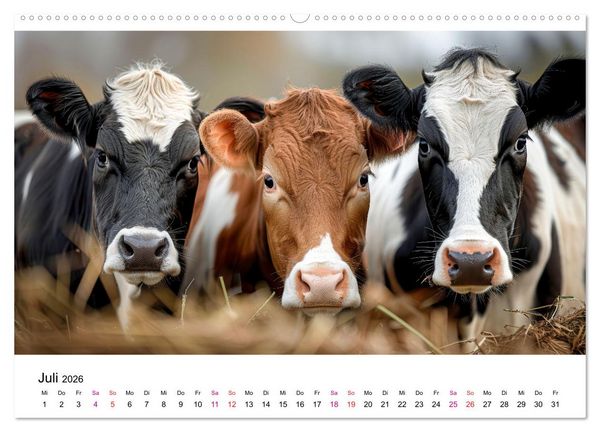 Produktbild: Holsteiner Sch&ouml;nheiten (hochwertiger Premium Wandkalender 2026 DIN A2 quer), Kunstdruck in Hochglanz