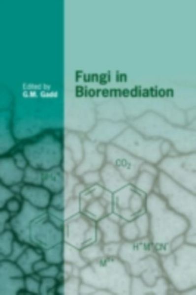 Produktbild: Fungi in Bioremediation