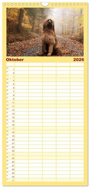 Produktbild: Familienplaner 2026 - Der Briard - Ein echter Charmeur mit 5 Spalten (Wandkalender, 21 x 45 cm) CALVENDO