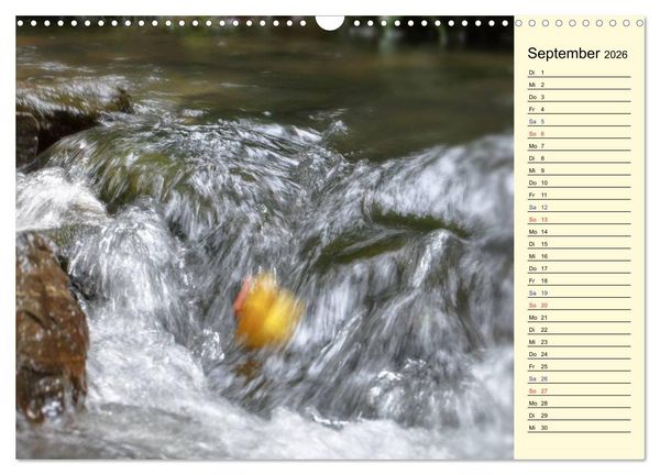 Produktbild: Enten-Rennen (Wandkalender 2026 DIN A3 quer), CALVENDO Monatskalender