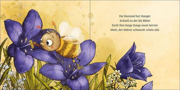 Produktbild: Mein erstes Naturbuch - Die Hummel