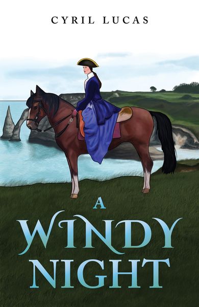 Produktbild: Windy Night