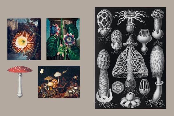 Produktbild: Gothica Sticker Book