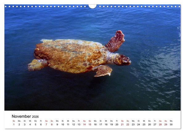 Produktbild: Griechenland - Insel Kefalonia (Wandkalender 2026 DIN A3 quer), CALVENDO Monatskalender
