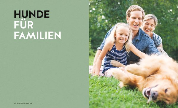 Finde den Hund, der zu dir passt