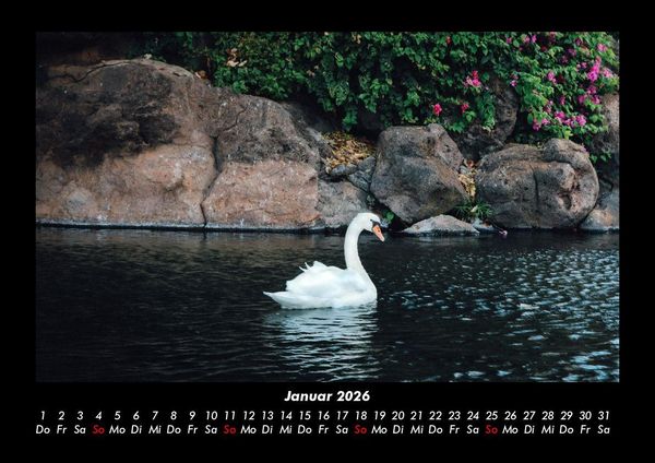 Produktbild: Die Seen der Erde 2026 Fotokalender DIN A3