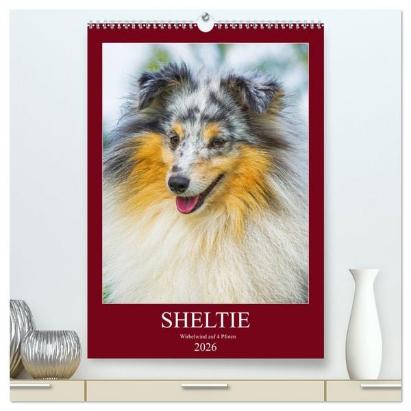 Sheltie - Wirbelwind auf 4 Pfoten (hochwertiger Premium Wandkalender 2026 DIN A2 hoch), Kunstdruck in Hochglanz