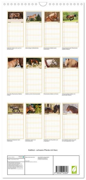 Produktbild: Familienplaner 2026 - Kaltblut - schwere Pferde mit Herz mit 5 Spalten (Wandkalender, 21 x 45 cm) CALVENDO