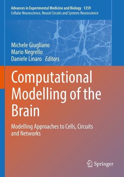 Produktbild: Computational Modelling of the Brain