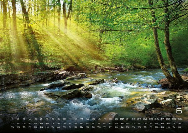 Produktbild: Wald - Erholung f&uuml;r Mensch und Tier - 2027 - Kalender DIN A3