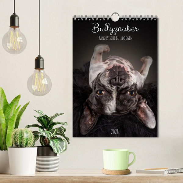 Produktbild: Bullyzauber - Franz&ouml;sische Bulldoggen (Wandkalender 2026 DIN A4 hoch), CALVENDO Monatskalender