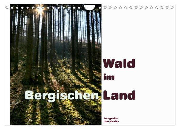 Wald im Bergischen Land 2026 (Wandkalender 2026 DIN A4 quer), CALVENDO Monatskalender