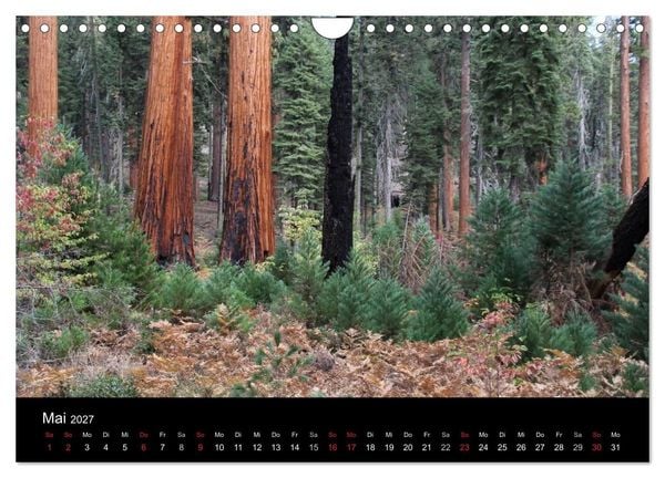 Produktbild: Kalifornien 2027 (Wandkalender 2027 DIN A4 quer), CALVENDO Monatskalender