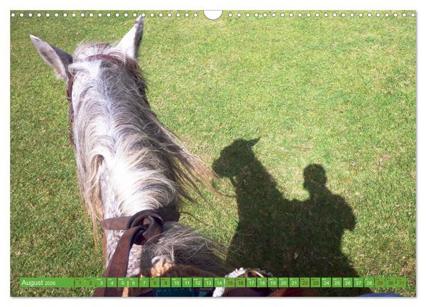 Produktbild: Uruguay - Land of the gauchos (Wall Calendar 2026 DIN A3 landscape), CALVENDO 12 Month Wall Calendar