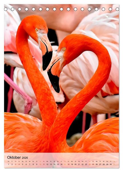 Produktbild: Flamingos - Eleganz und Sch&ouml;nheit (Tischkalender 2026 DIN A5 hoch), CALVENDO Monatskalender