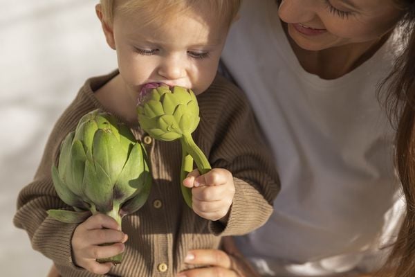 Produktbild: Oli & Carol - Artichoke Rattle Toy