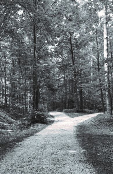 Produktbild: Andachten f&uuml;r zu Hause