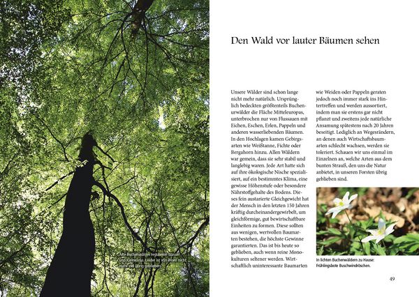 Produktbild: Menschenspuren im Wald