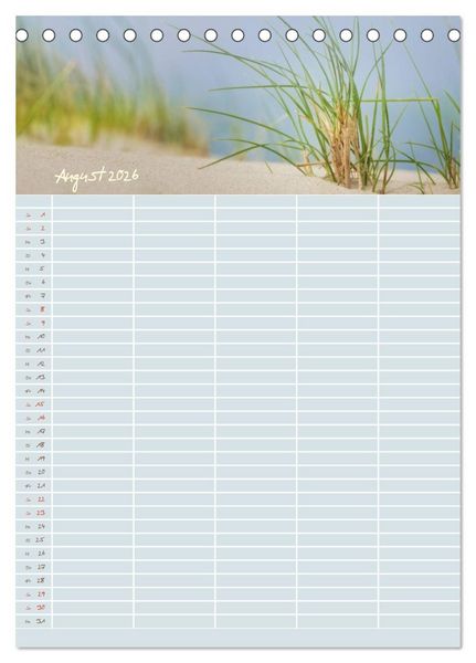 Produktbild: Kleine Sand-Sch&ouml;nheiten / Familienplaner (Tischkalender 2026 DIN A5 hoch), CALVENDO Monatskalender