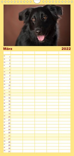Produktbild: Familienplaner Bunte Pfoten (Wandkalender 2022 , 21 cm x 45 cm, hoch)