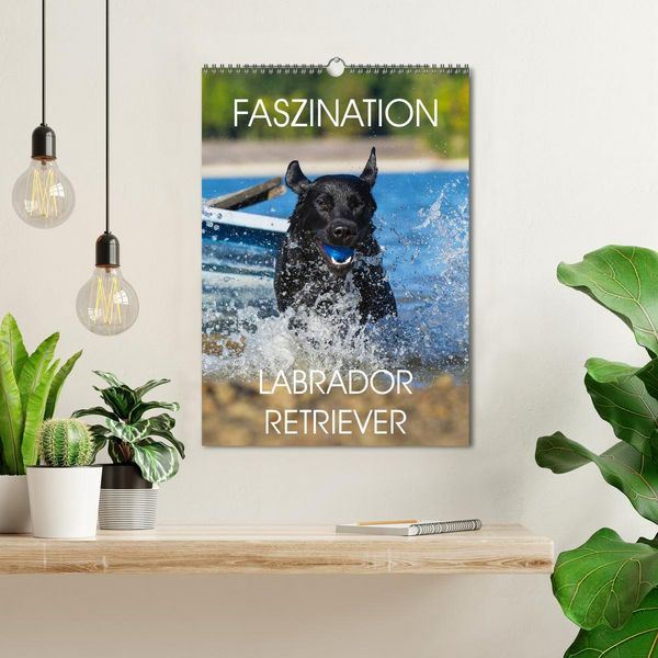 Produktbild: Faszination Labrador Retriever (Wandkalender 2026 DIN A3 hoch), CALVENDO Monatskalender