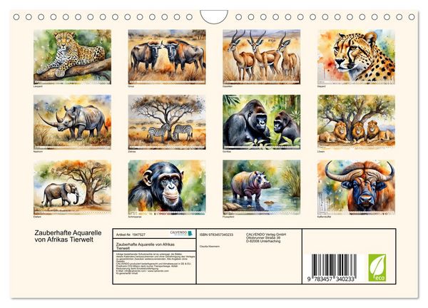 Produktbild: Zauberhafte Aquarelle von Afrikas Tierwelt (Wandkalender 2026 DIN A4 quer), CALVENDO Monatskalender
