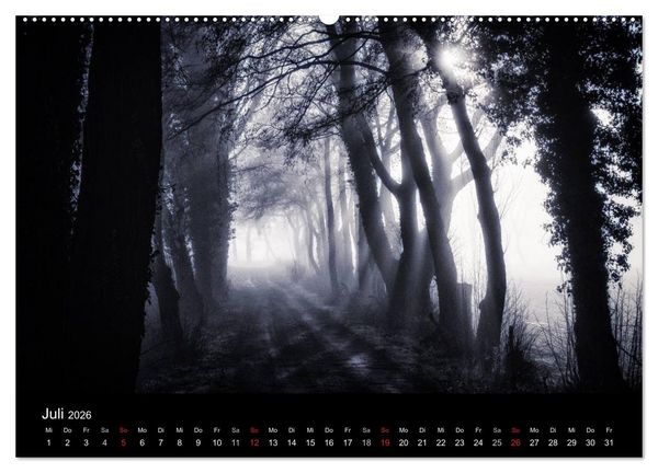 Produktbild: Mystische W&auml;lder (hochwertiger Premium Wandkalender 2026 DIN A2 quer), Kunstdruck in Hochglanz