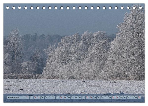 Produktbild: Impressionen aus Mecklenburg - Vorpommern (Tischkalender 2026 DIN A5 quer), CALVENDO Monatskalender