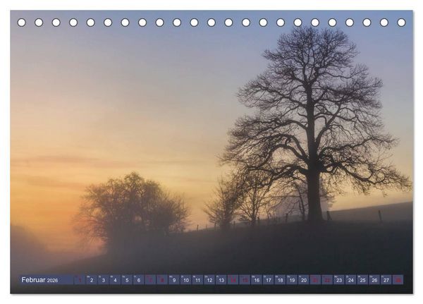 Produktbild: Augenschmaus Pf&auml;lzer Wald (Tischkalender 2026 DIN A5 quer), CALVENDO Monatskalender