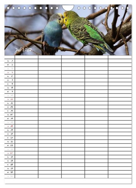 Produktbild: Wellensittiche (Wandkalender 2027 DIN A4 hoch), CALVENDO Monatskalender