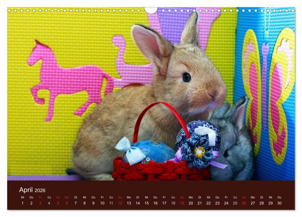 Produktbild: Lustige Kaninchen (Wandkalender 2026 DIN A3 quer), CALVENDO Monatskalender