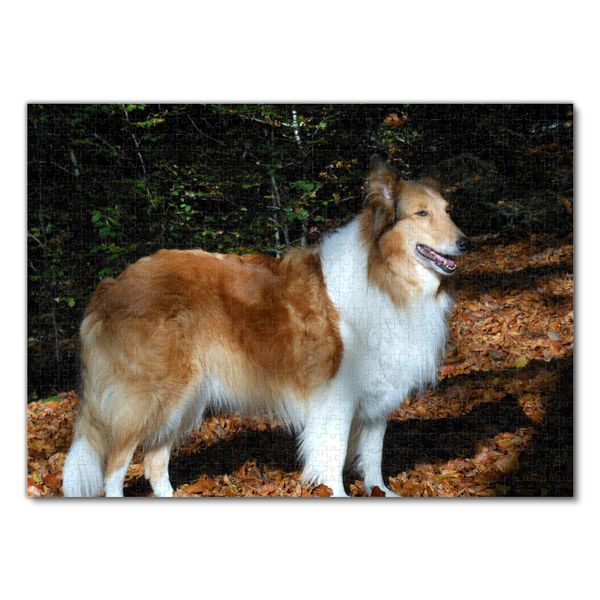 Produktbild: Lais Puzzle Collie 1000 Teile