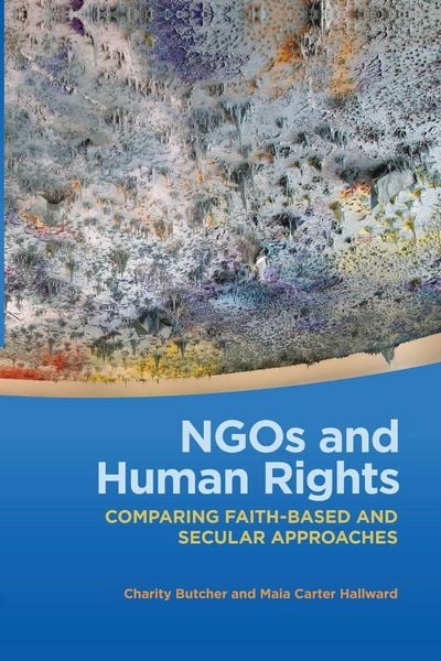 Produktbild: NGOs and Human Rights