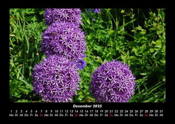Produktbild: Blumenkalender 2025 Fotokalender DIN A3