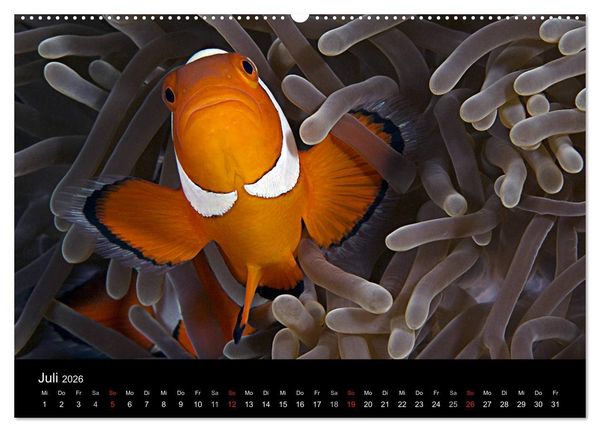 Produktbild: Philippinen - Natur und Fiesta (hochwertiger Premium Wandkalender 2026 DIN A2 quer), Kunstdruck in Hochglanz