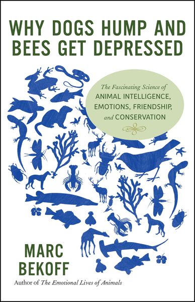 Produktbild: Why Dogs Hump and Bees Get Depressed