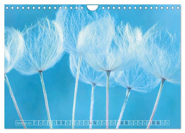 Produktbild: Lichtspiele der Natur (Wandkalender 2027 DIN A4 quer), CALVENDO Monatskalender