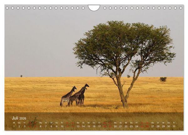 Produktbild: Ostafrika - Tansania und Kenia hautnah (Wandkalender 2026 DIN A4 quer), CALVENDO Monatskalender