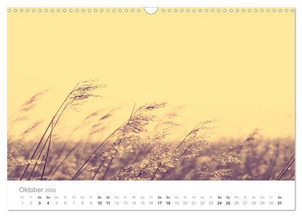 Produktbild: Farbrausch - die Welt in Pastell (Wandkalender 2026 DIN A3 quer), CALVENDO Monatskalender