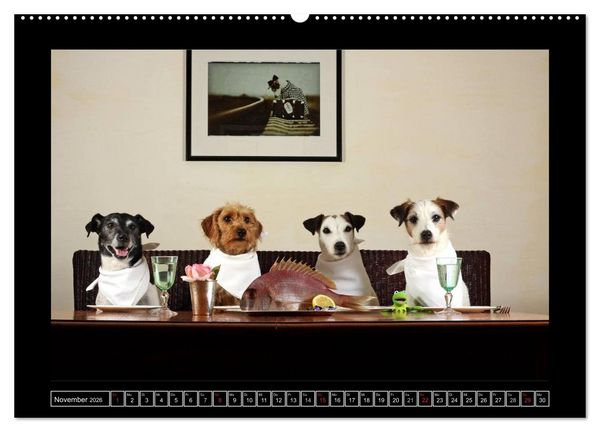 Produktbild: Parson Russell Terrier (hochwertiger Premium Wandkalender 2026 DIN A2 quer), Kunstdruck in Hochglanz