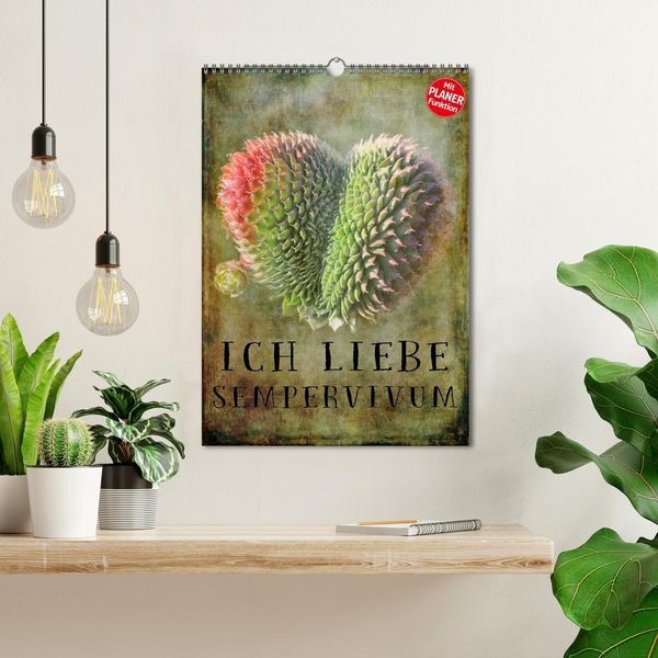 Produktbild: Ich liebe Sempervivum (Wandkalender 2026 DIN A3 hoch), CALVENDO Monatskalender
