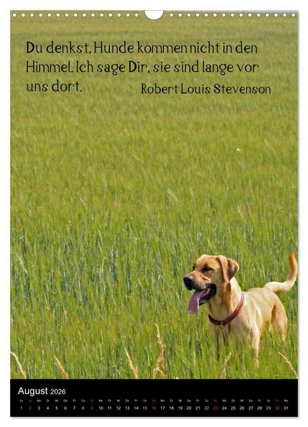 Produktbild: Der Broholmer (Wandkalender 2026 DIN A3 hoch), CALVENDO Monatskalender